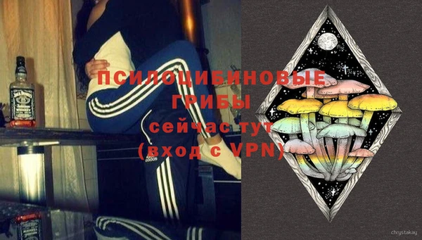 ГАЛЛЮЦИНОГЕННЫЕ ГРИБЫ Абаза