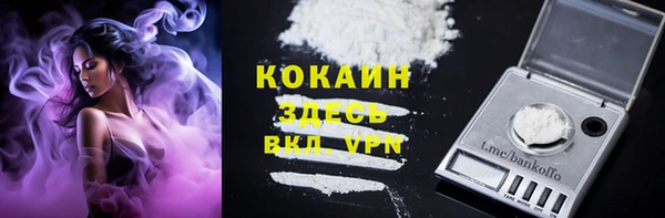 ГАЛЛЮЦИНОГЕННЫЕ ГРИБЫ Абаза